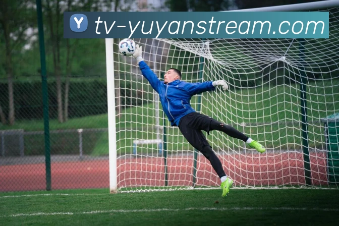 多媒体互动体验